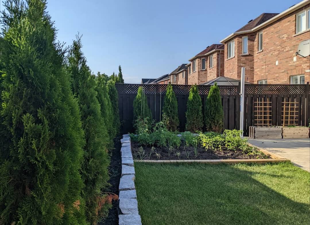 AAA Landscaping Co Ltd
