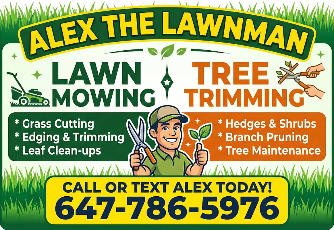 Alex the Handyman (Team)