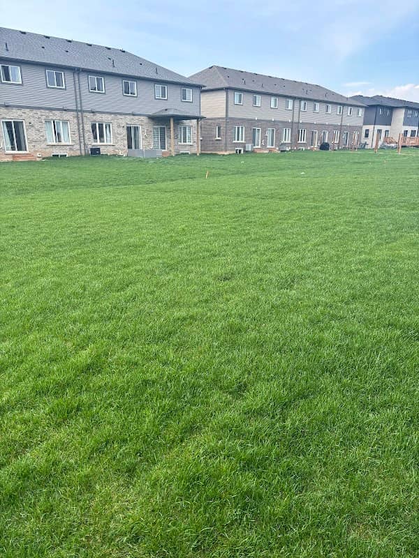 Ark's Landscaping