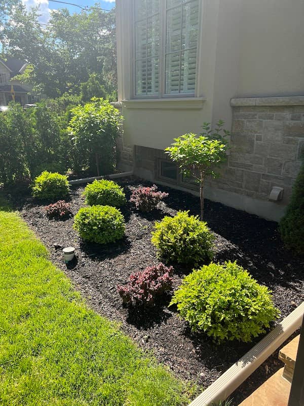 Bella’s Lawn and Garden