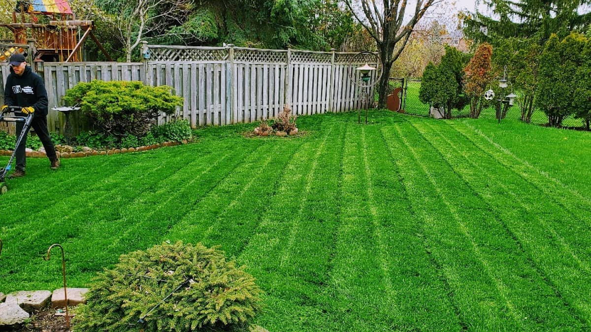 Dependable Lawn Care photo 3