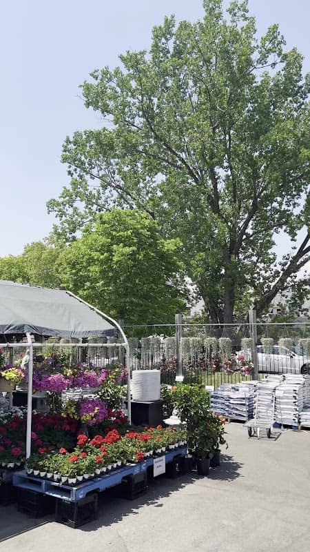 Down 2 Earth Garden Centre photo 3