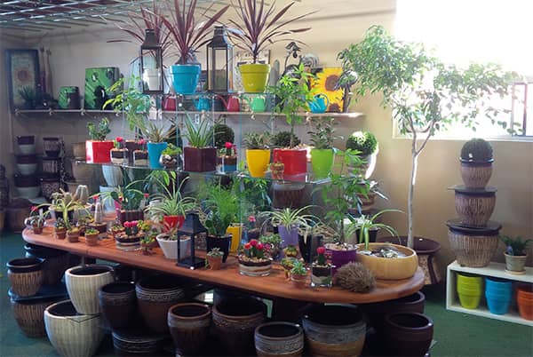 Down 2 Earth Garden Centre photo 4