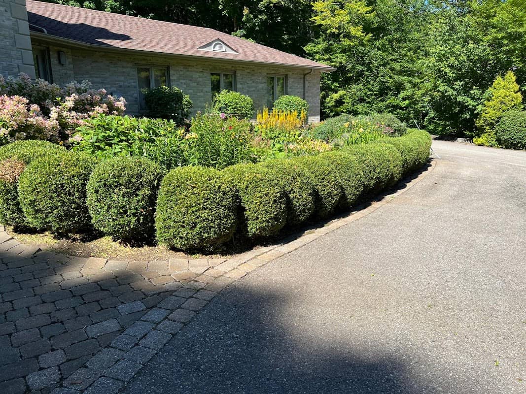 Elite yard maintenance