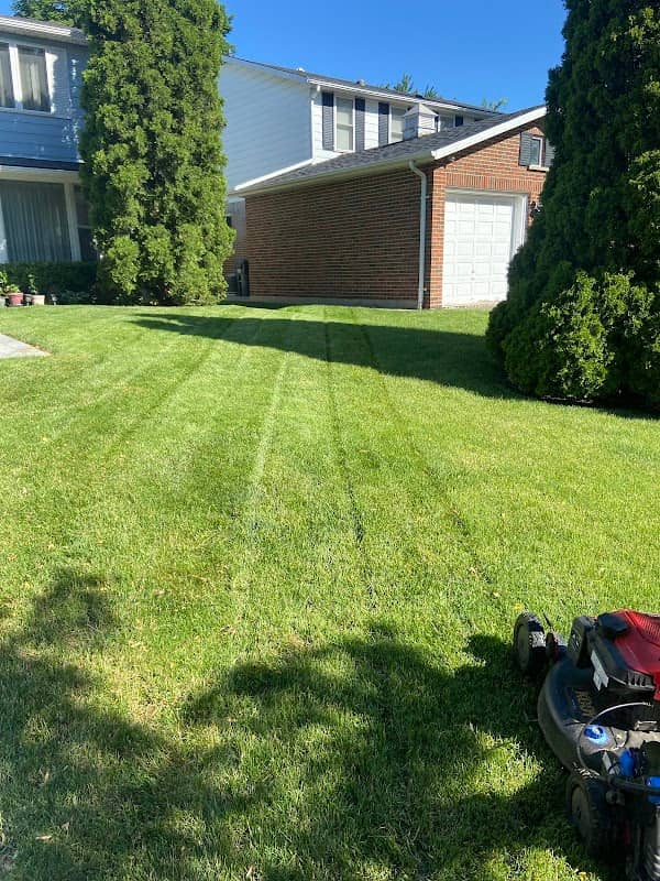 Forestis Landscaping