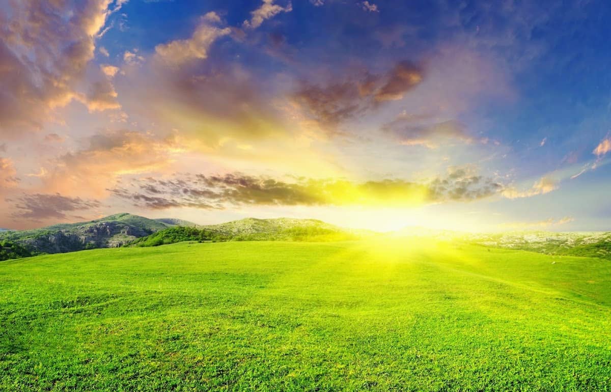 Forevergreen Landscaping & Maintenance