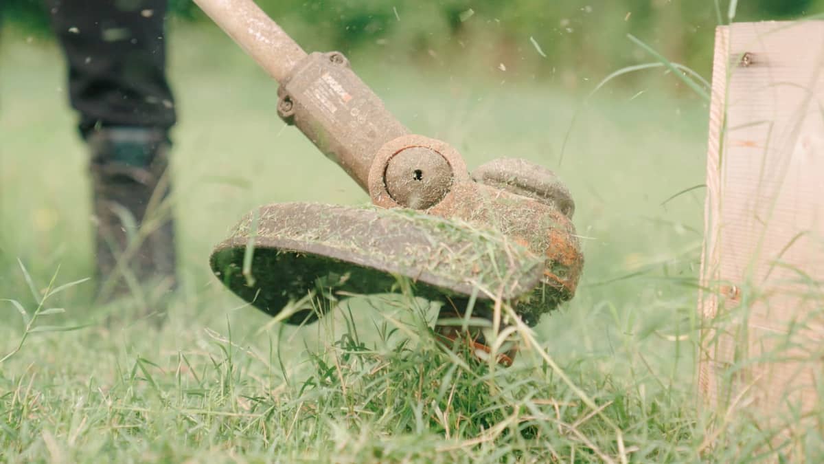 Fresh Blade Landscaping photo 3