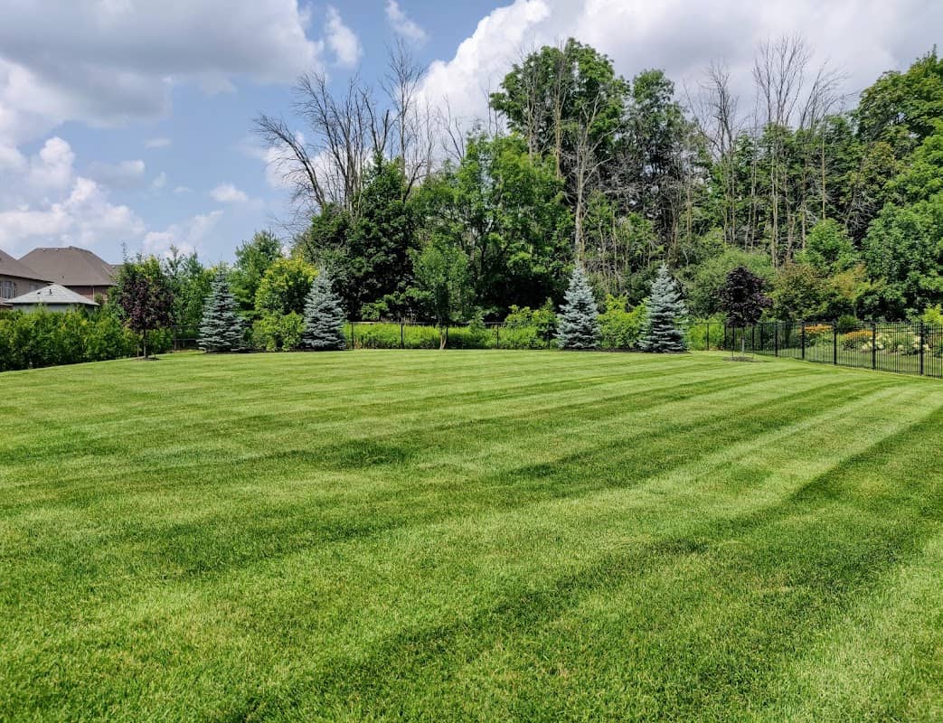 Greener Side Landscaping