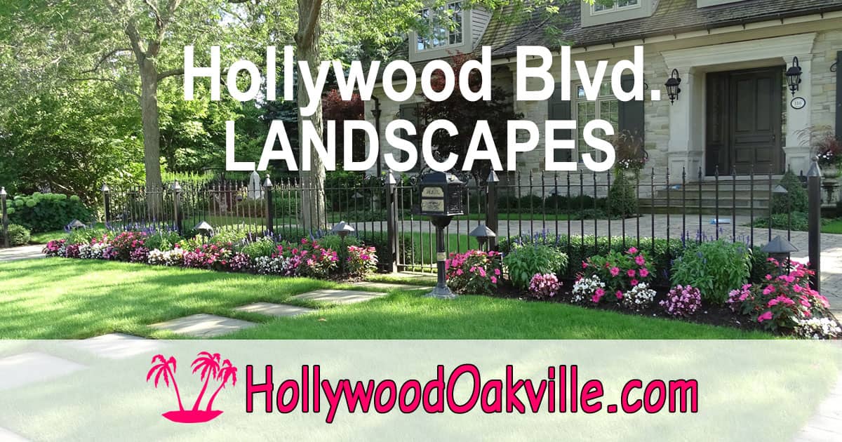 Hollywood Blvd. Landscapes photo 4