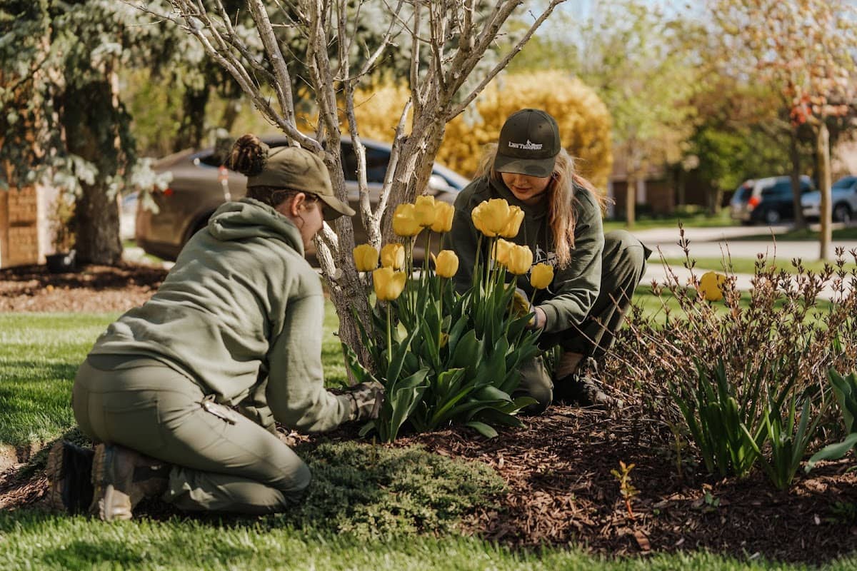 Lawn Troopers