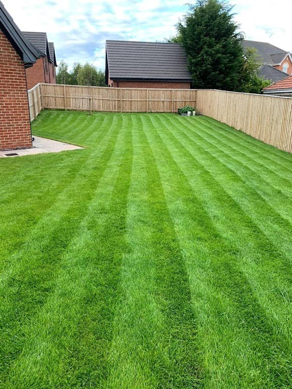 LawnGrove