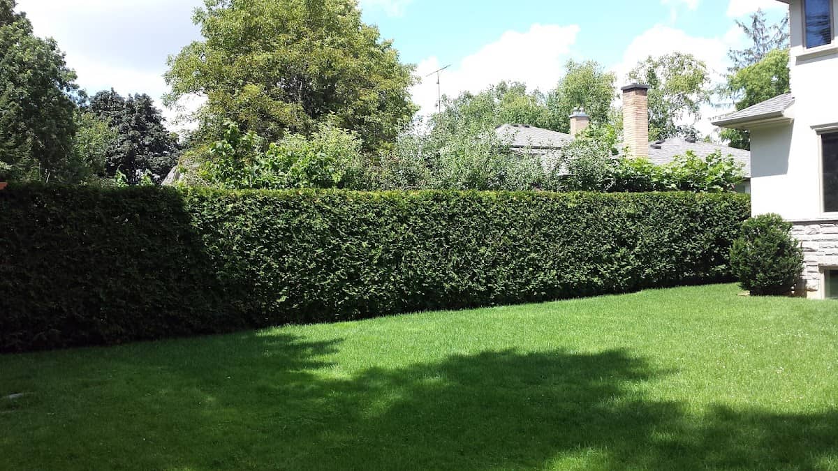 Mineola Landscaping