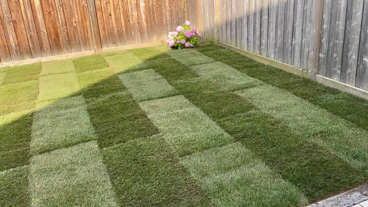 MLC Landscaping, Interlocking & Hardscaping photo 3