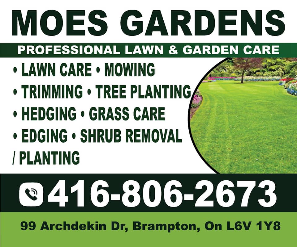 Moes Gardens