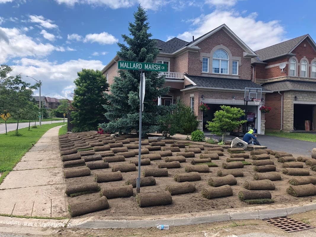 My Landscapers Inc. photo 4