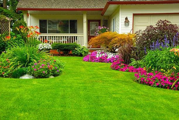Oasis Lawns