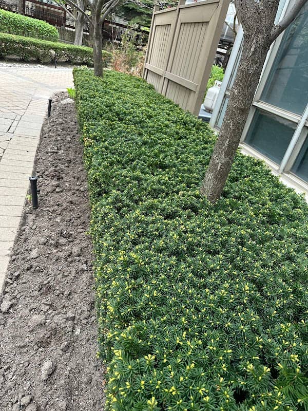 Procut lawn Care and weed control