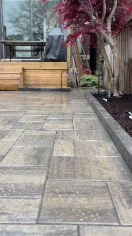 S.A Landscape Associates photo 3