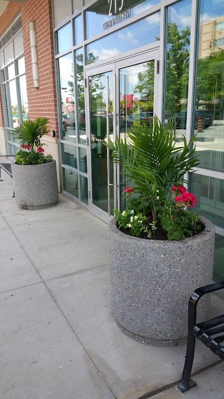 Silva's Landscaping & Snow Plowing photo 2