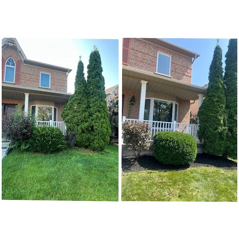 SS lawn care and snow removal