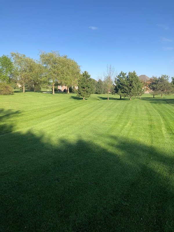 TGF Lawn Care and Snow Removal