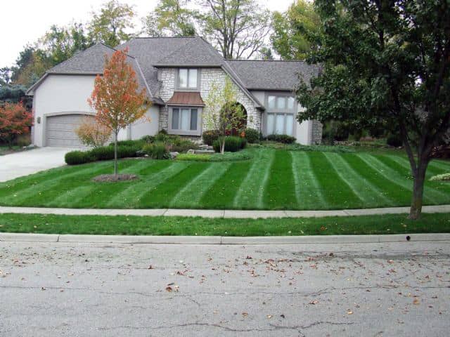 The Gilded Garden Property Services