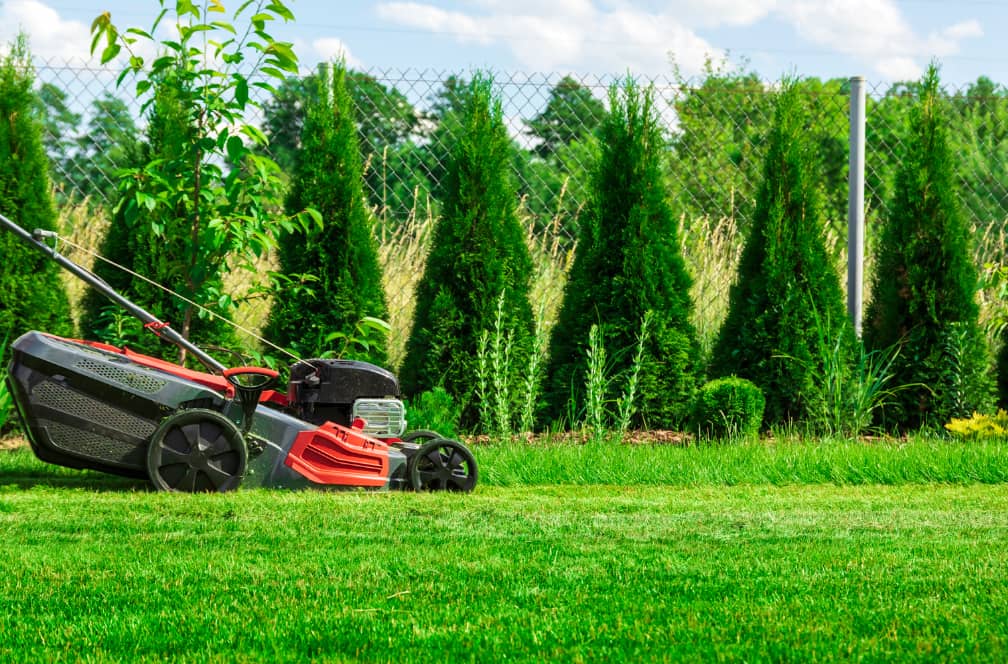 Toronto Lawn Mowing Solutions