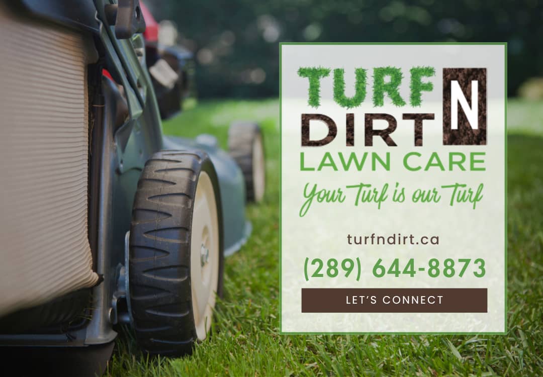 TurfNDirt Lawn Care