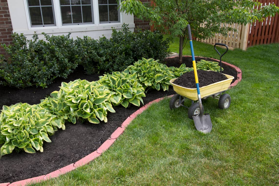 TurfNDirt Lawn Care photo 2