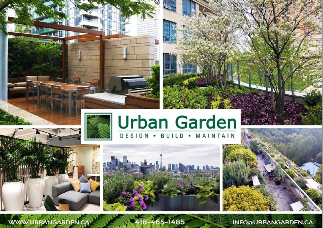 Urban Garden