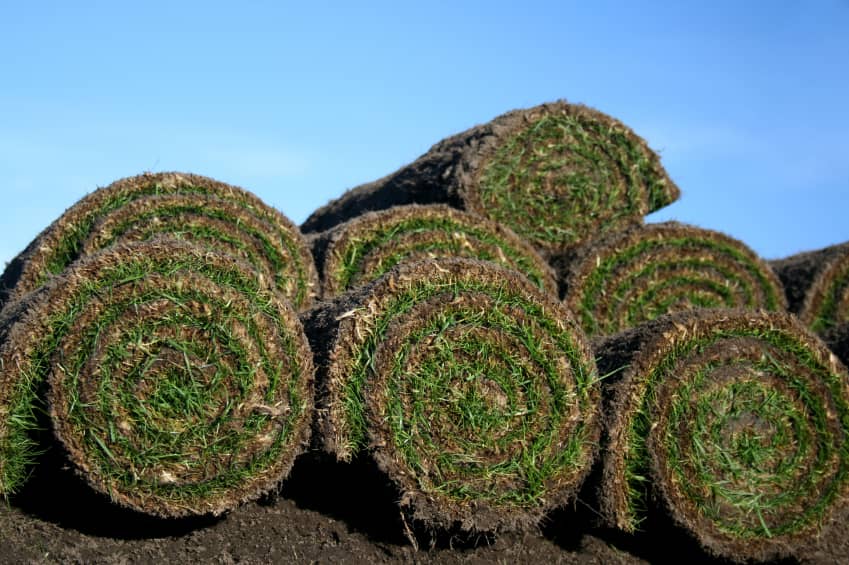 Vissers Sod Farm