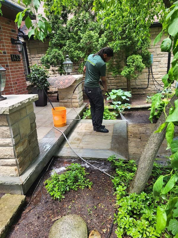 Wynter Landscaping and Handyman Mississauga