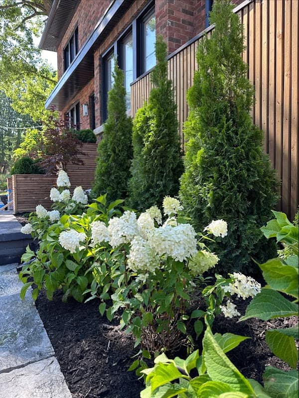 Zing Landscaping & Design