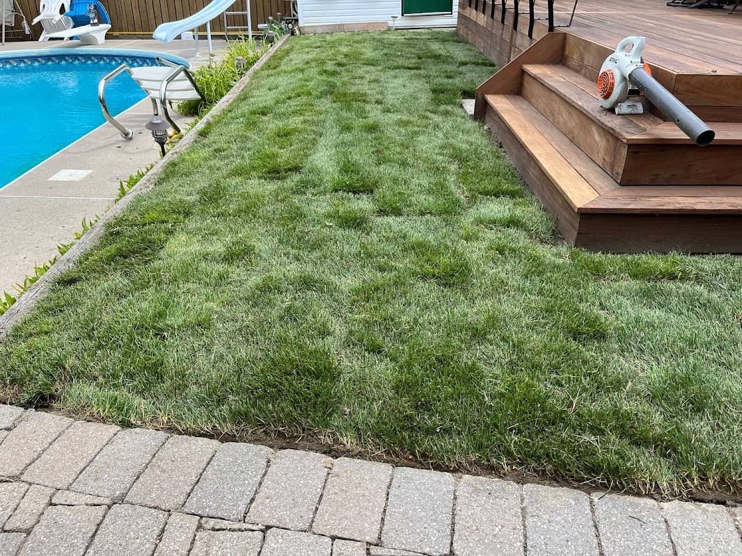 10 Days - Sodding/Landscaping photo 2