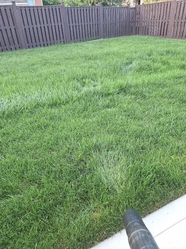 A&S LAWNCARE AND SNOW REMOVAL INC. photo 2