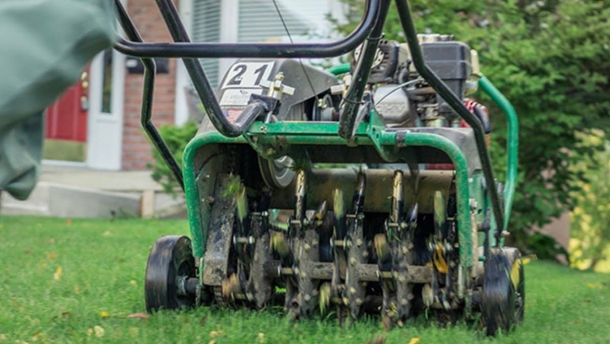 AA Lawn Care