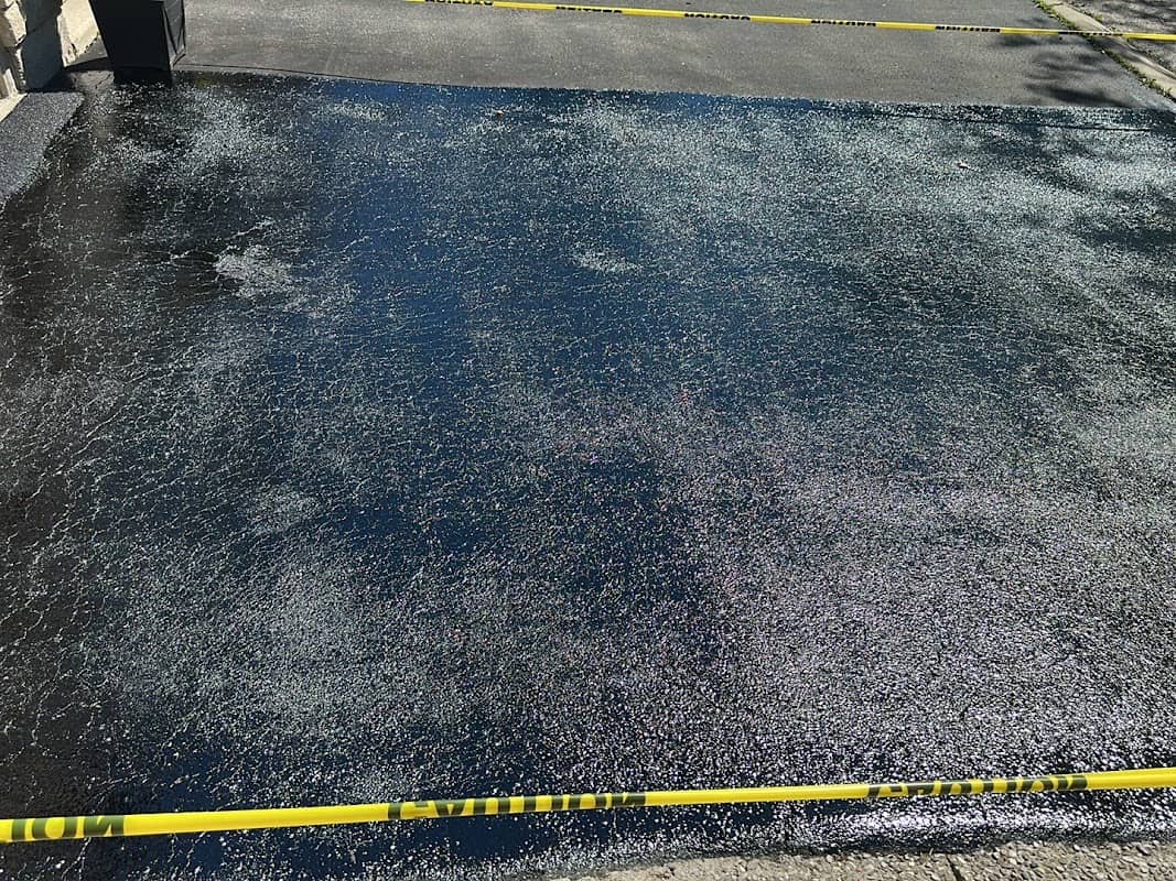 Action Paving photo 2