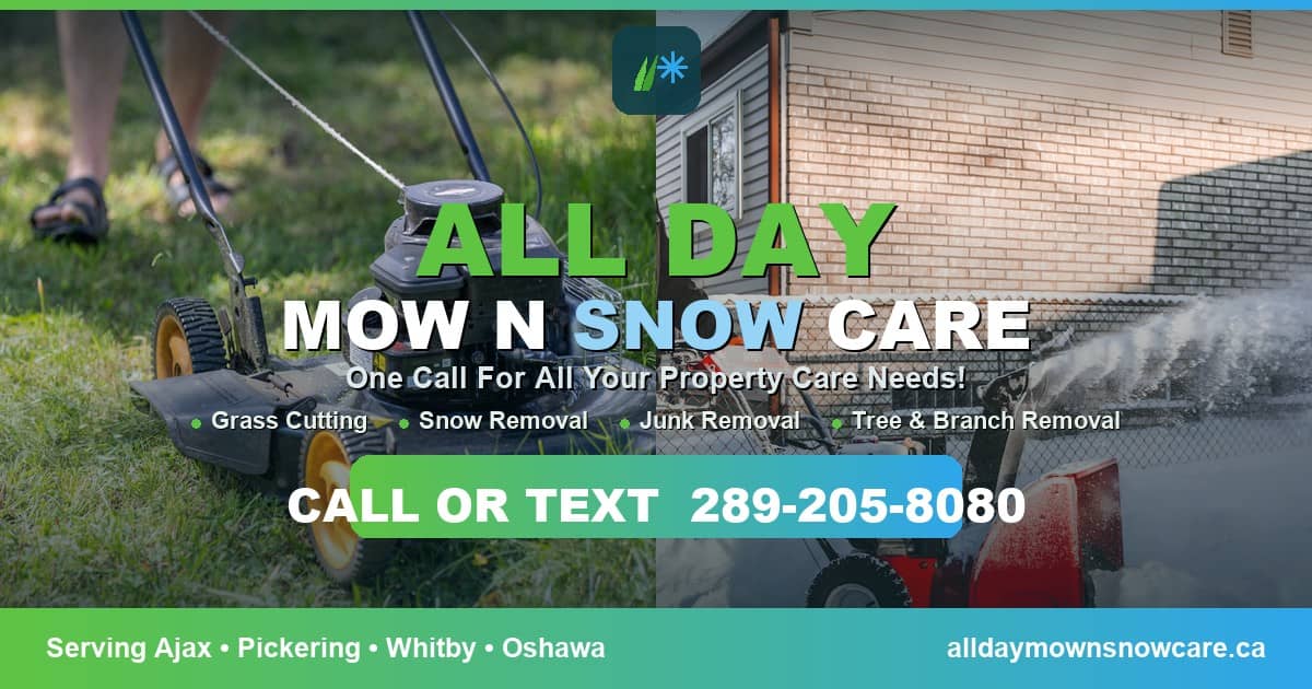 All Day Mow N Snow Care photo 3