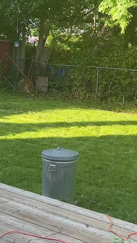 AP LAWN & PROPERTY MAINTENANCE inc. photo 3