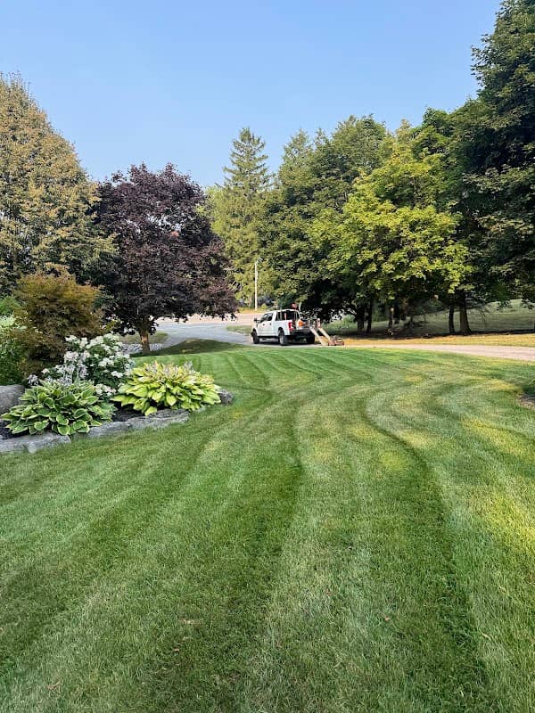 AP LAWN & PROPERTY MAINTENANCE inc. photo 4