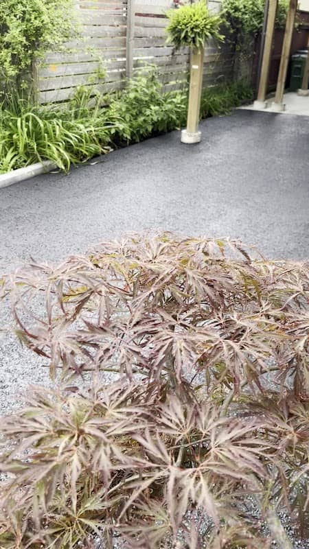 Asphalt Sealing photo 3