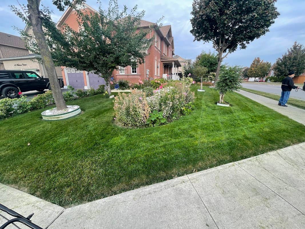 AVD Landscaping & Snow Removal photo 2