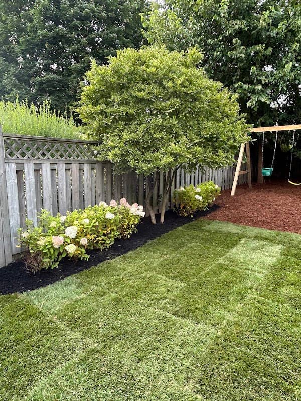 Aventus Landscaping photo 4