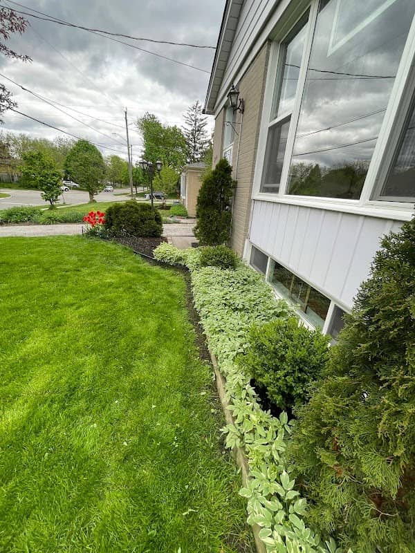 Backyard Buddies Landscaping