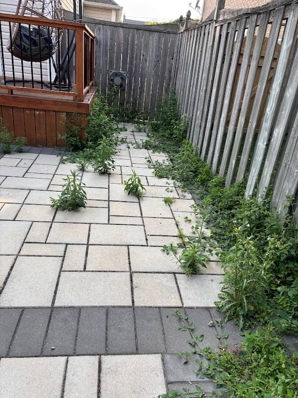BrightScape Property Services photo 3