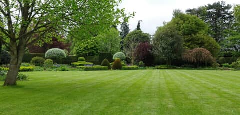 Canadian Grounds Landscaping and Snow Removal photo 3