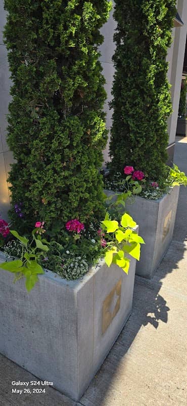 Dogwood Designs