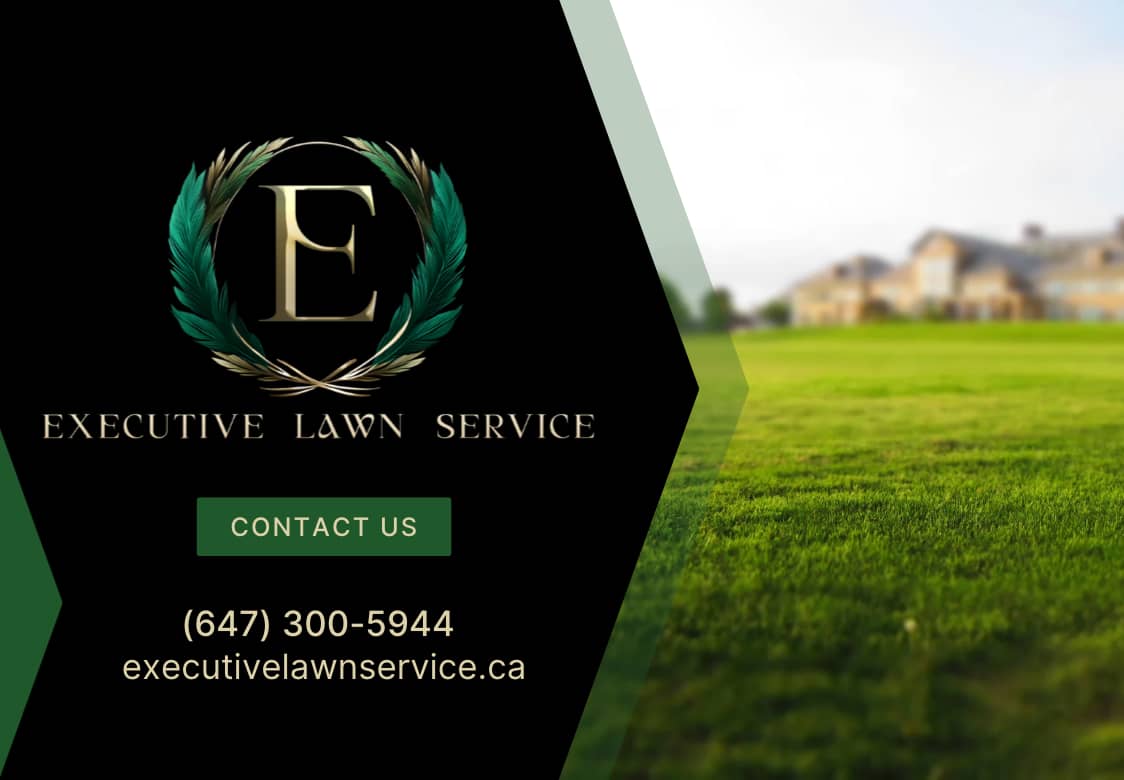 Executive Lawn Service Inc.