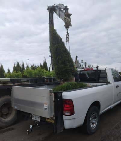Fairgrounds Landscaping photo 2
