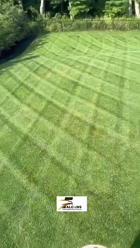 Falcons Landscaping & Snow Removal photo 3